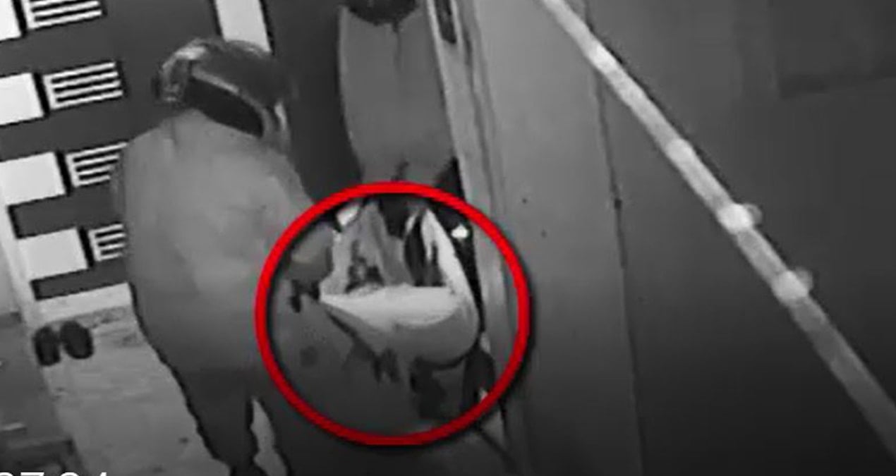 Görme engelli kadının ziynet eşyalarını çalan yeğen yakayı ele verdi